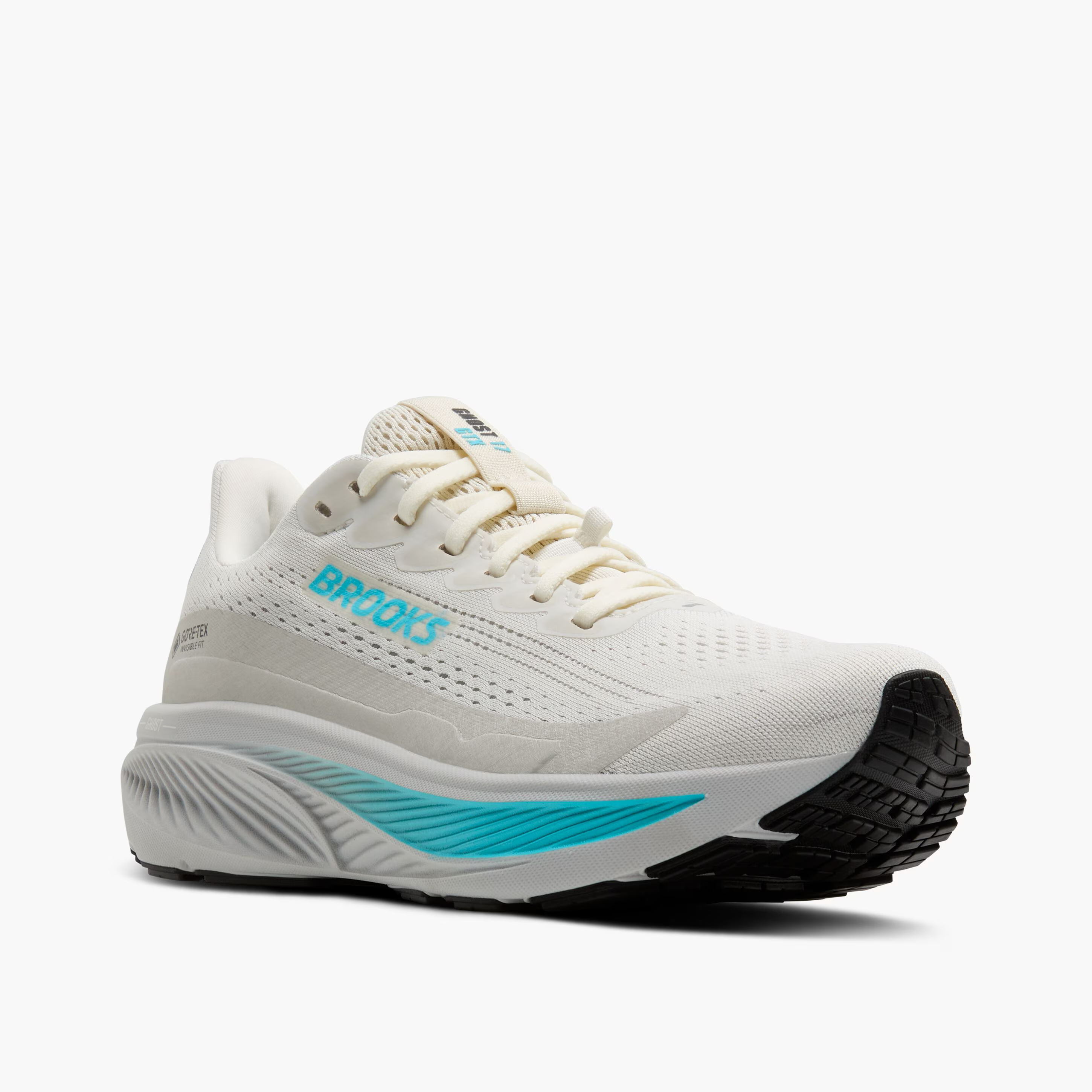 BROOKS- WOMEN'S GHOST 17 GTX SHOE