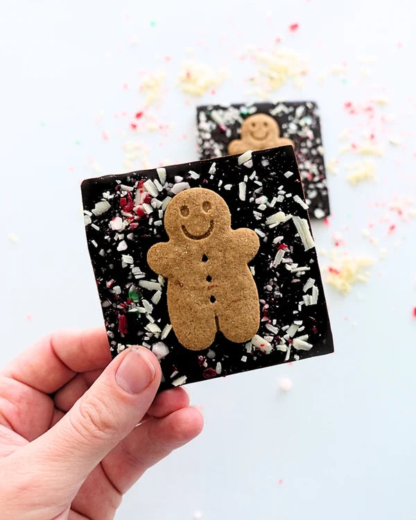 SUCCULENT CHOCOLATE - GINGERBREAD FROST CHOCOLATE