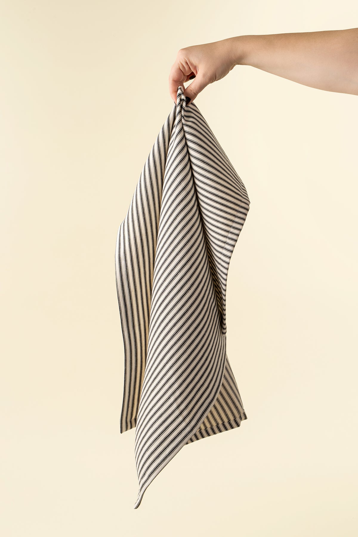 INDABA - BLACK TICKING TEA TOWELS S/2