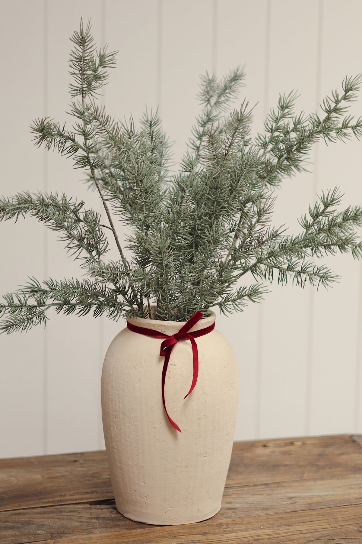 INDABA - CYPRESS SPRIG