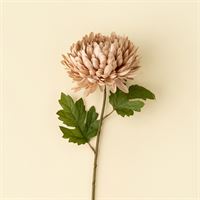 INDABA - CHRYSANTHEMUM STEM, DUSTY PINK