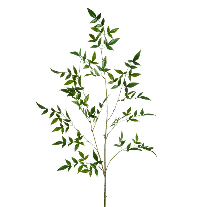 RAZ IMPORTS- GREEN LEAF BRANCH