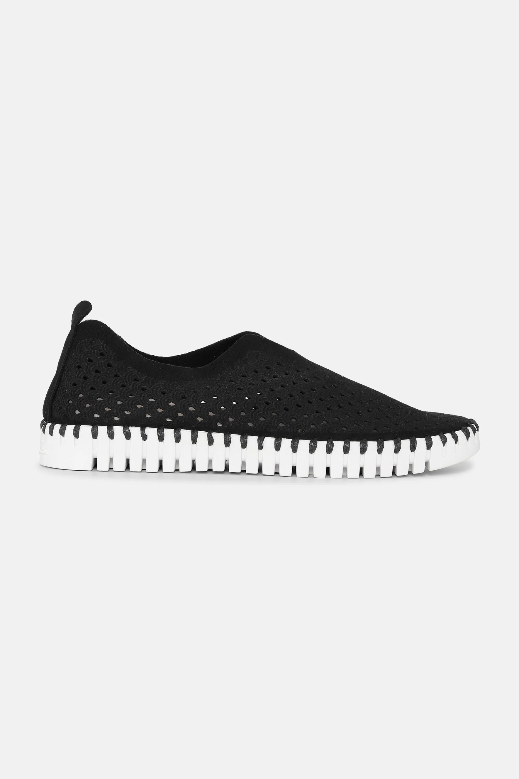 ISLE JACOBSEN - WOMEN'S TULIP139 SHOE