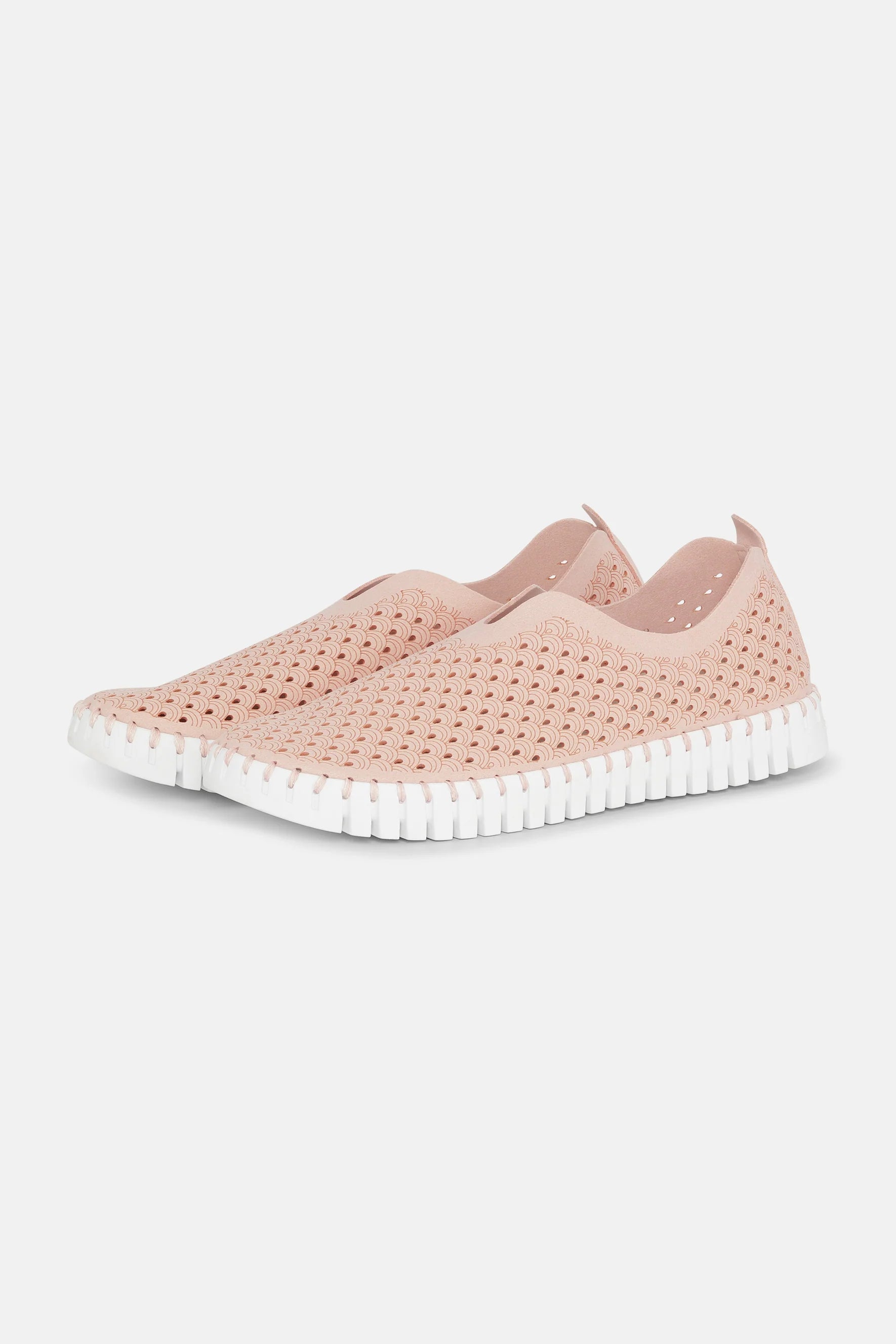 ISLE JACOBSEN - WOMEN'S TULIP139 SHOE