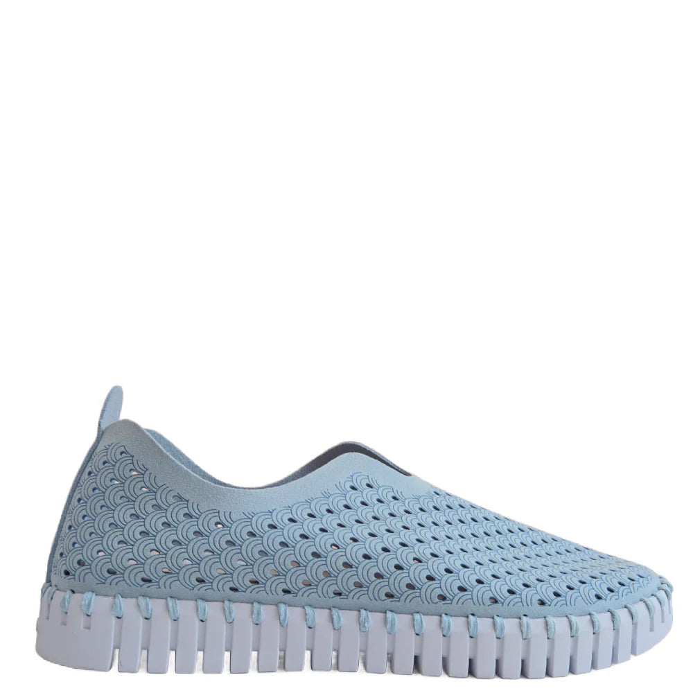 ISLE JACOBSEN - WOMEN'S TULIP139 SHOE