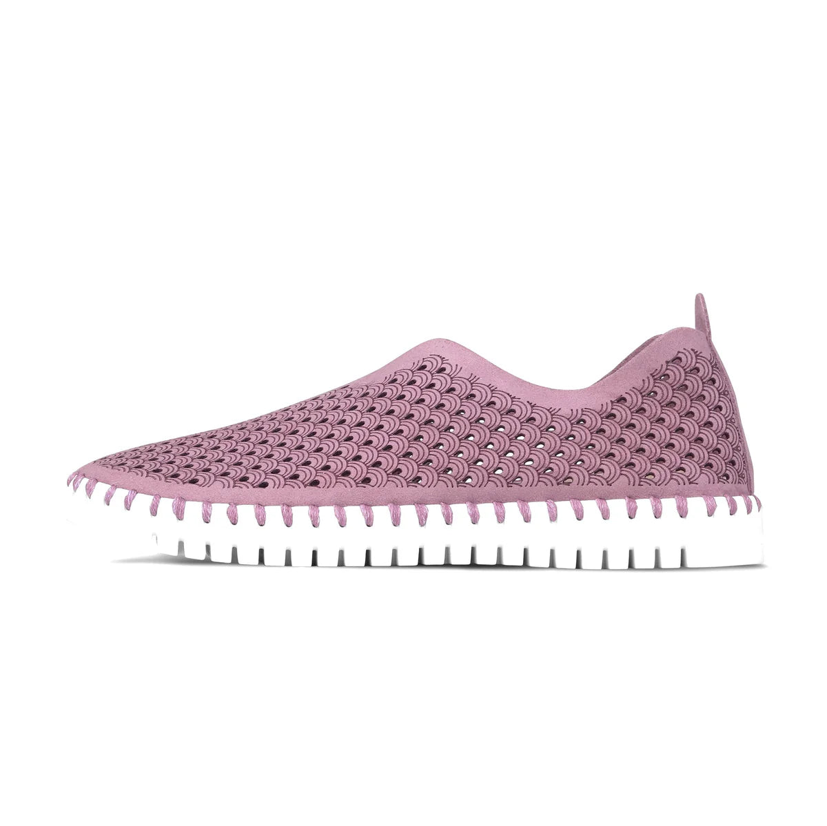 ISLE JACOBSEN - WOMEN'S TULIP139 SHOE
