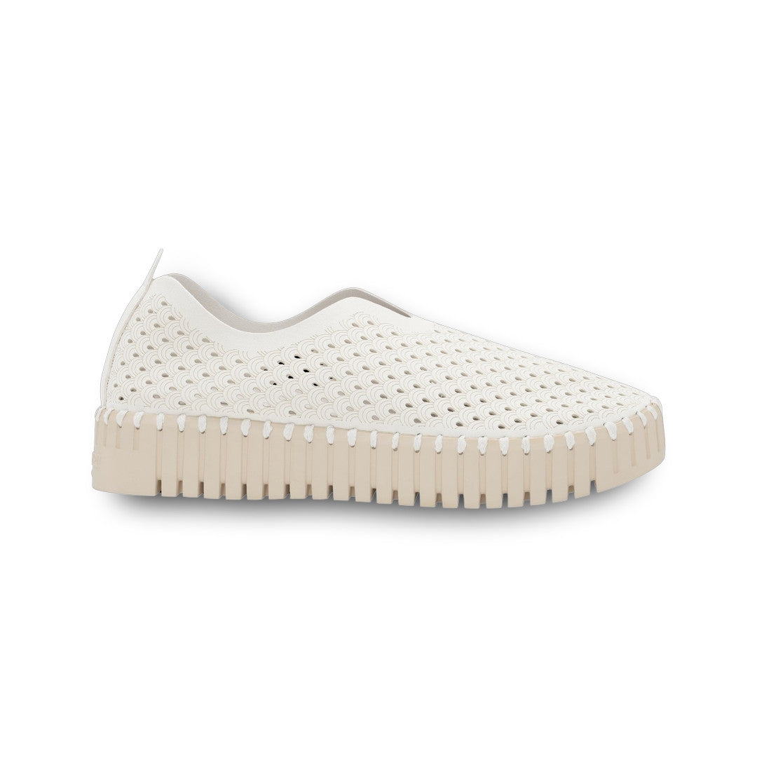 ILSE JACOBSEN - WOMEN'S TULIP3373 SHOE