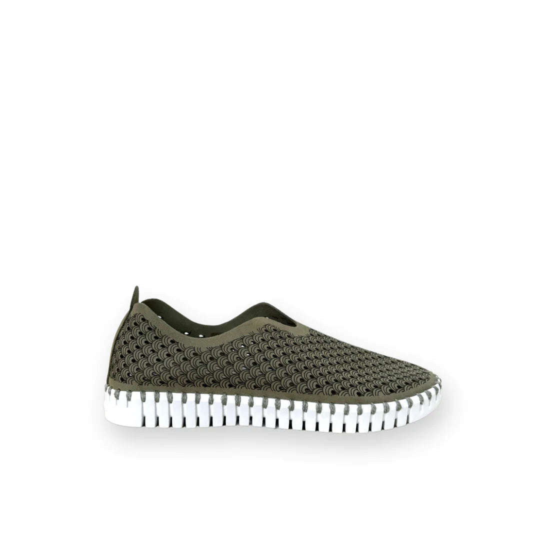 ISLE JACOBSEN - WOMEN'S TULIP139 SHOE