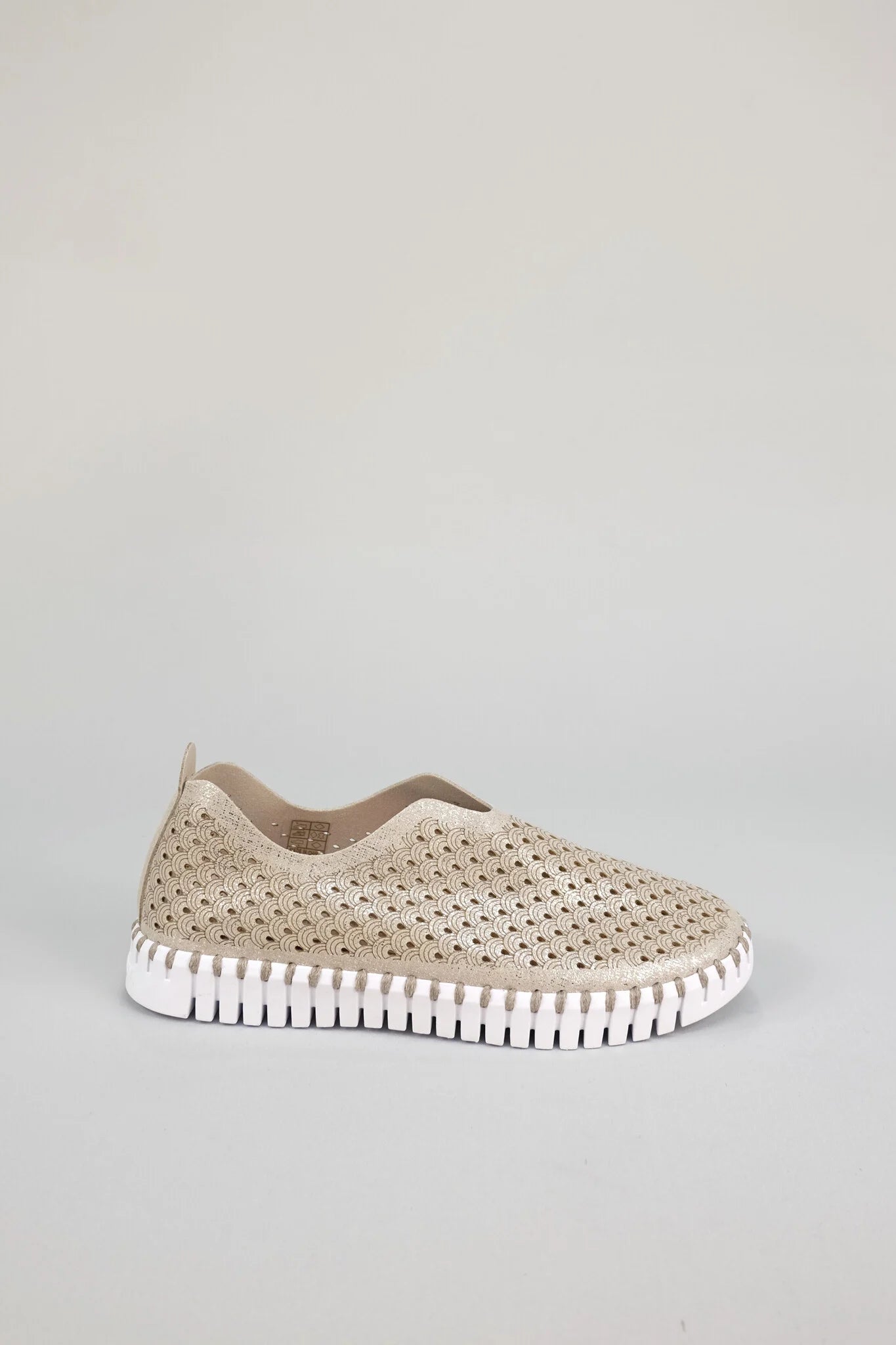 ILSE JACOBSEN - WOMEN'S TULIP3223 SHOE