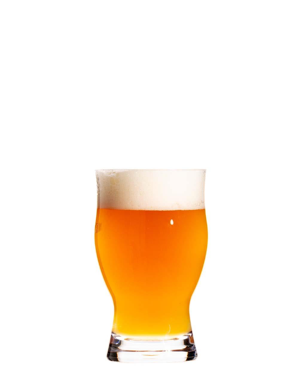 REVOLUTION 16OZ