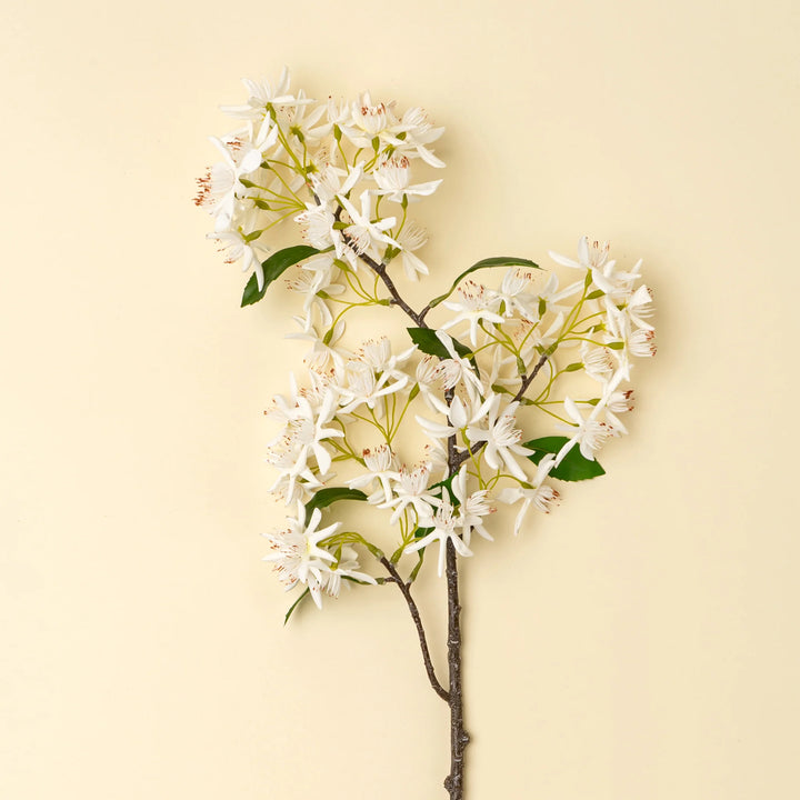 INDABA - STAR MAGNOLIA REAL TOUCH BRANCH
