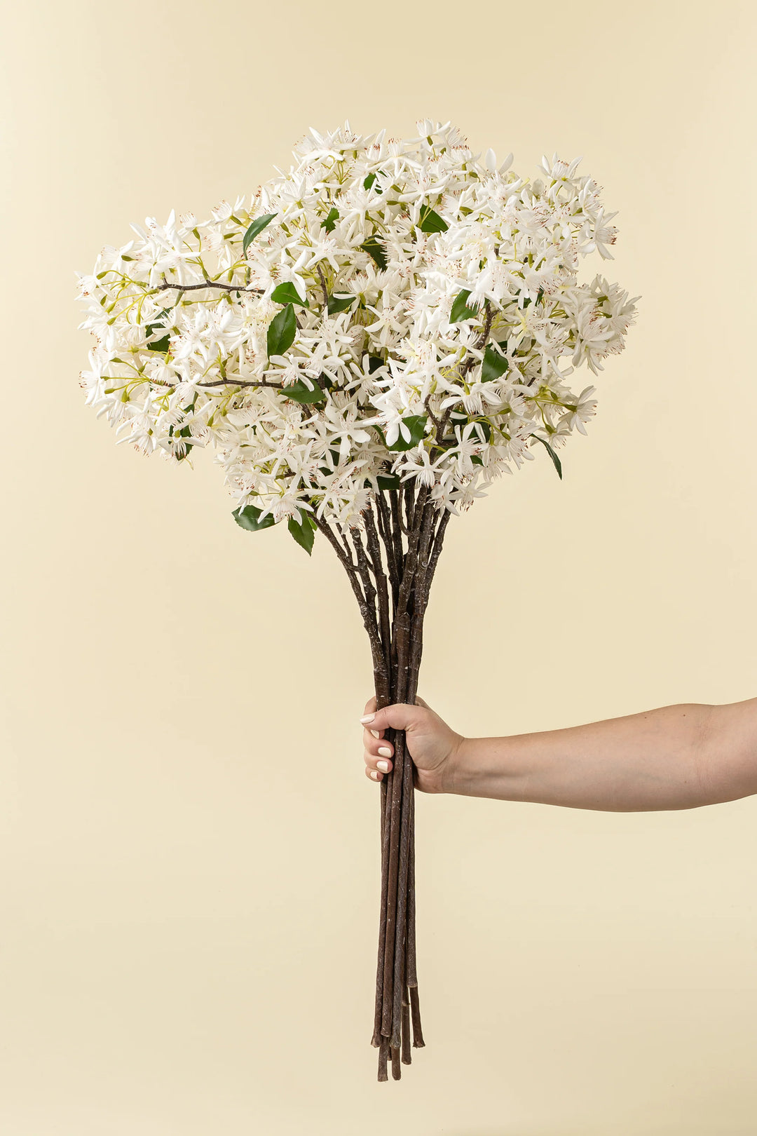 INDABA - STAR MAGNOLIA REAL TOUCH BRANCH