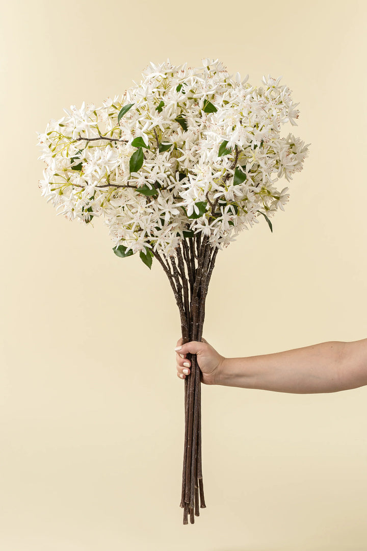 INDABA - STAR MAGNOLIA REAL TOUCH BRANCH