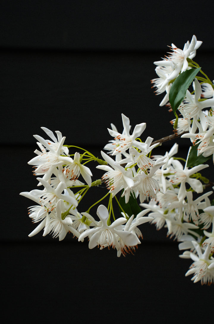 INDABA - STAR MAGNOLIA REAL TOUCH BRANCH