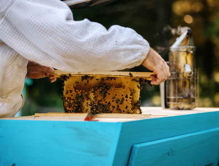 HERITAGE BEE CO. - PURE CANADIAN HONEYCOMB