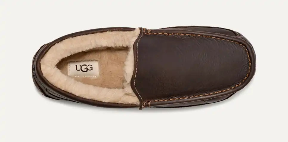 UGGS - MENS SLIPPER ASCOT