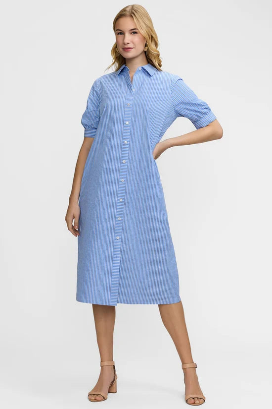 FOXCROFT - WOMEN'S ESTHER ELBOW SLEEVE DRESS