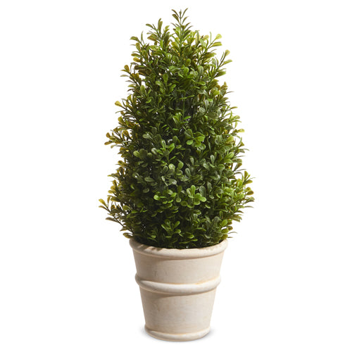 RAZ IMPORT- POTTED BOXWOOD DECOR