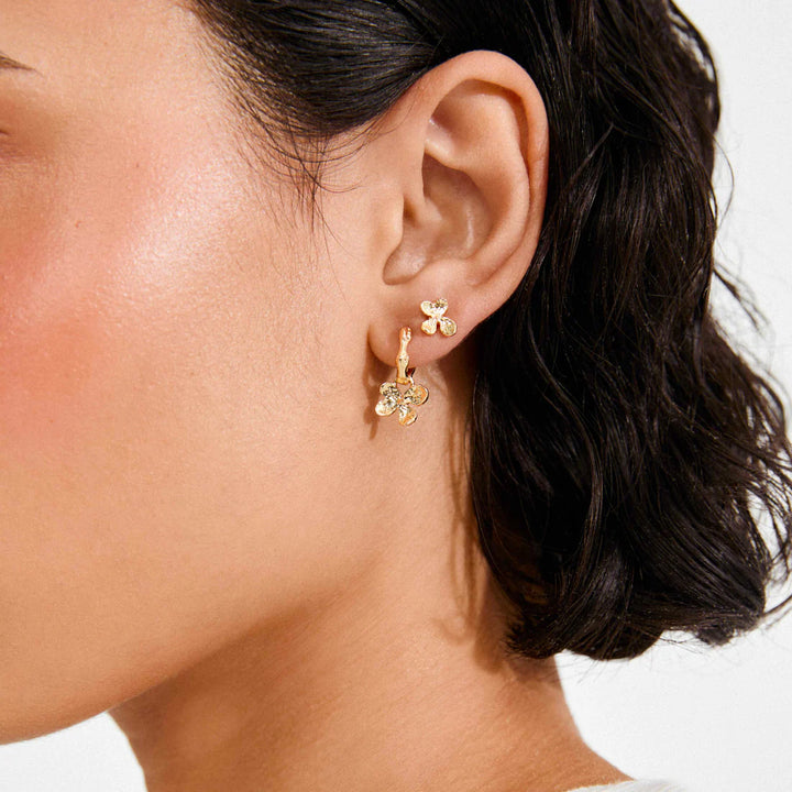 PILGRIM - Earrings : Ajani : Gold Plated - Gold Plated