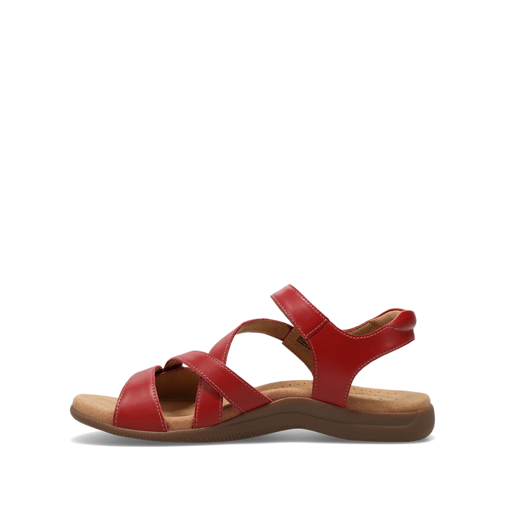 TAOS - WOMEN'S BIG TIME SANDAL