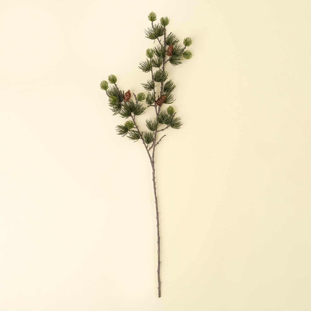 INDABA - ALPINE LARCH SPRIG