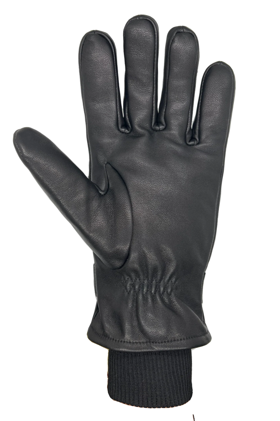 AUCLAIR- MEN'S OWEN GLOVES