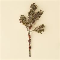 INDABA - HARVEST BERRY SPRAY, GREEN