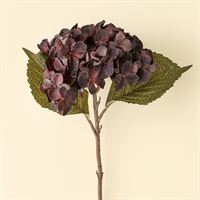 INDABA - HEIRLOOM HYDRANGEA STEM, DEEP PURPLE