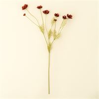 INDABA - CALLIOPSIS SPRAY, RUST RED