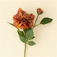 INDABA - DAHLIA STEM, TERRACOTTA