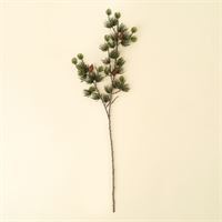 INDABA - ALPINE LARCH SPRIG