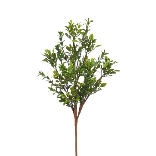 RAZ IMPORTS- BOXWOOD PICK