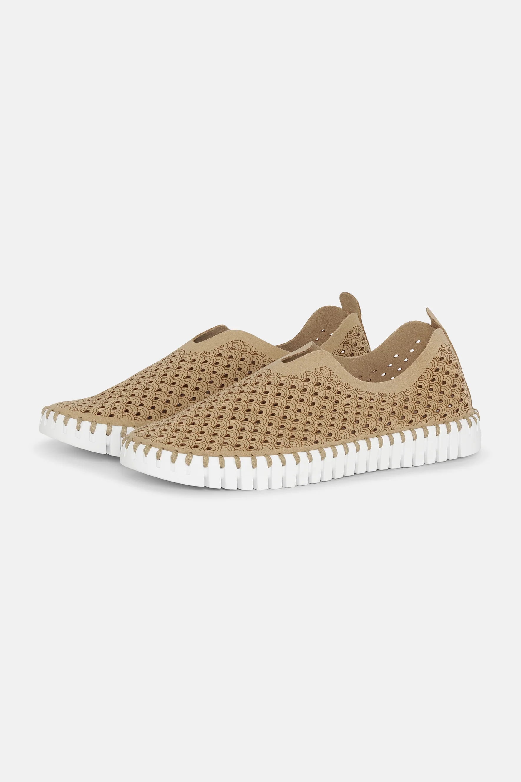 ISLE JACOBSEN - WOMEN'S TULIP139 SHOE