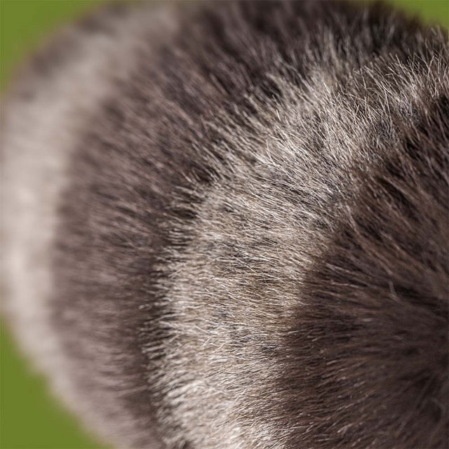 JELLYCAT - TRIXIWOO RACCOON