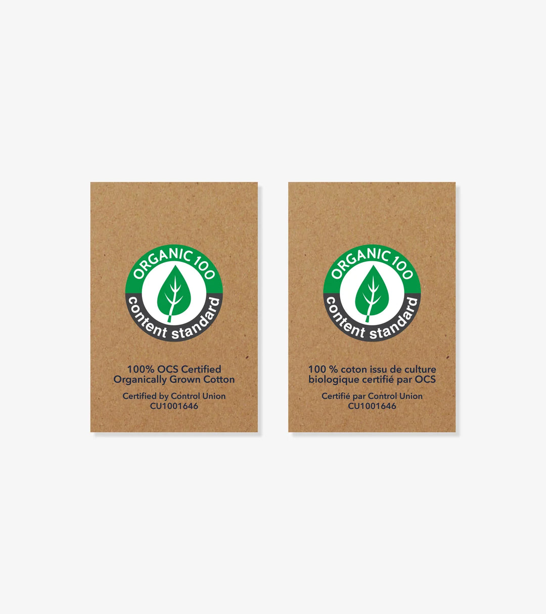 HATLEY -  KIDS DINO PARTY COTTON COVERALL