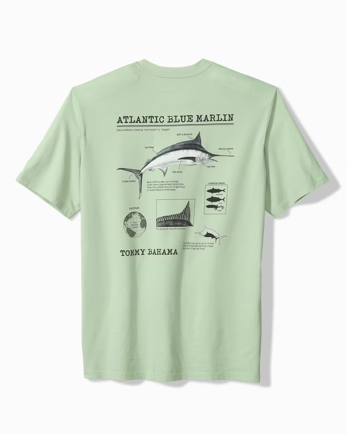 TOMMY BAHAMA - FOR YOUR FINFORMATION TEE