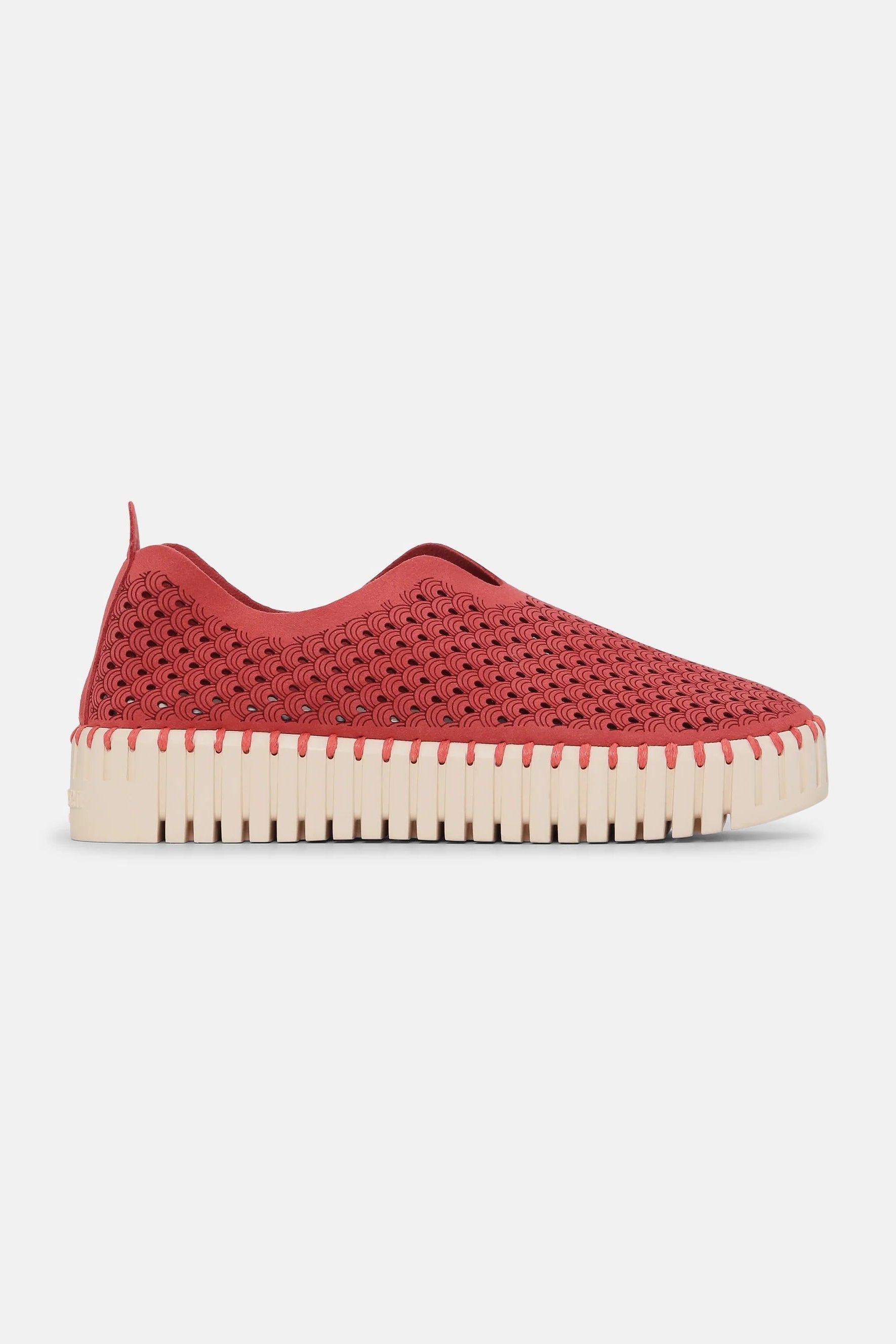 ILSE JACOBSEN - WOMEN'S TULIP3373 SHOE