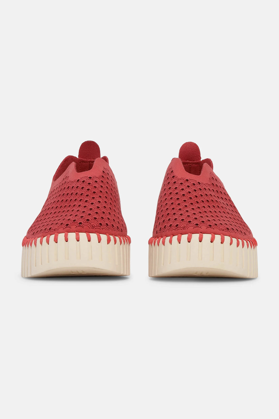 ILSE JACOBSEN - WOMEN'S TULIP3373 SHOE