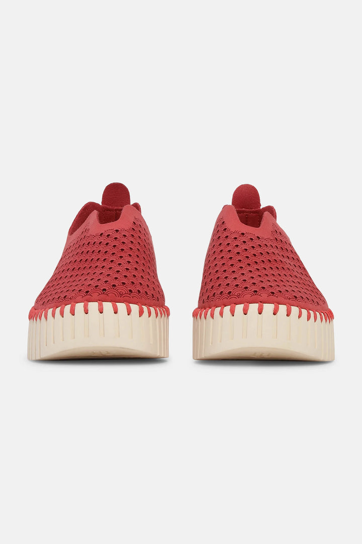 ILSE JACOBSEN - WOMEN'S TULIP3373 SHOE