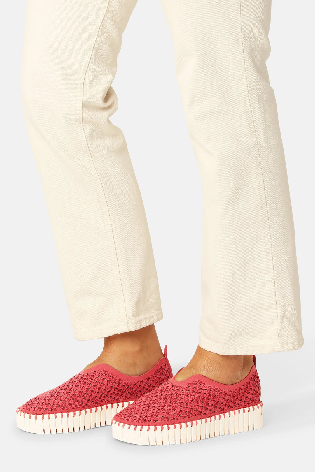 ILSE JACOBSEN - WOMEN'S TULIP3373 SHOE