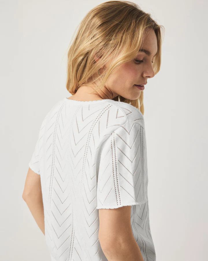 SPLENDID- WOMEN'S SABRINA POINTELLE SWEATER