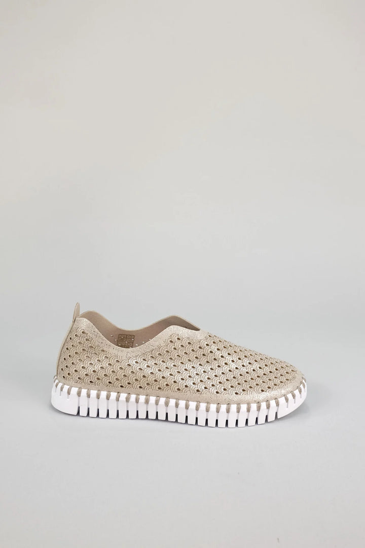 ILSE JACOBSEN - WOMEN'S TULIP3223 SHOE