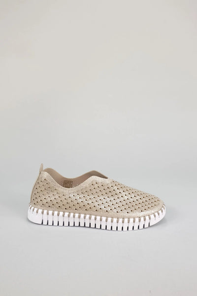 ILSE JACOBSEN - WOMEN'S TULIP3223 SHOE – Bigley Shoes and Clothing