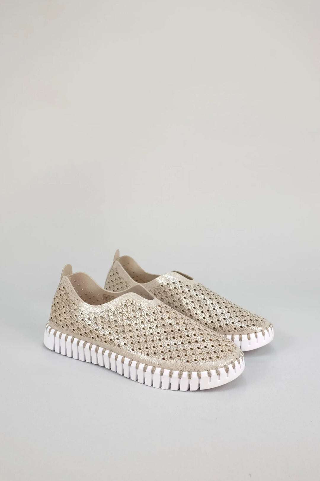 ILSE JACOBSEN - WOMEN'S TULIP3223 SHOE