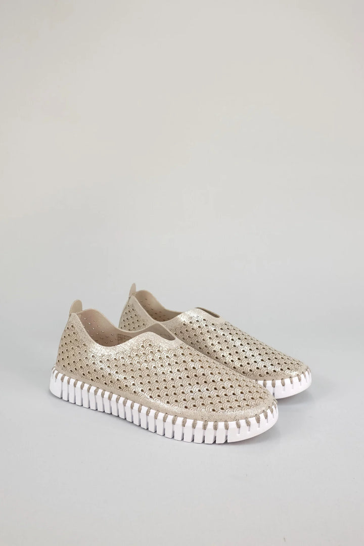 ILSE JACOBSEN - WOMEN'S TULIP3223 SHOE