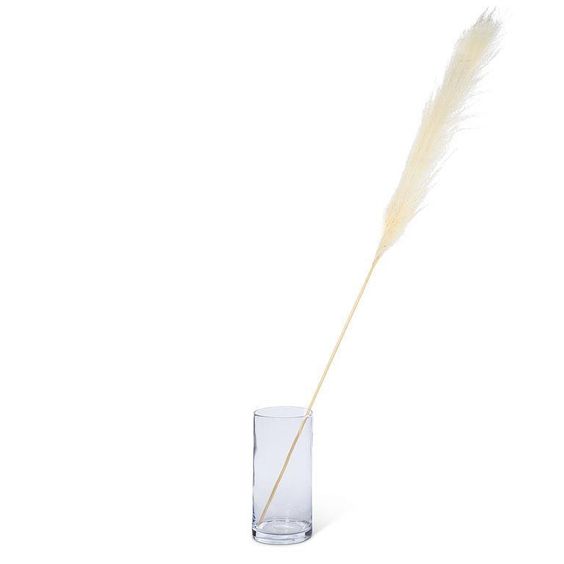 ABBOTT- EXTRA LARGE WHITE PAMPAS GRASS